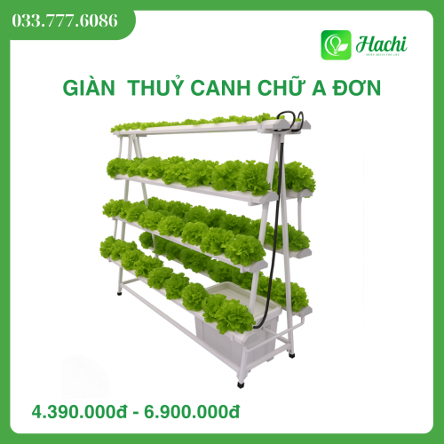 Giàn thủy canh chữ A đơn