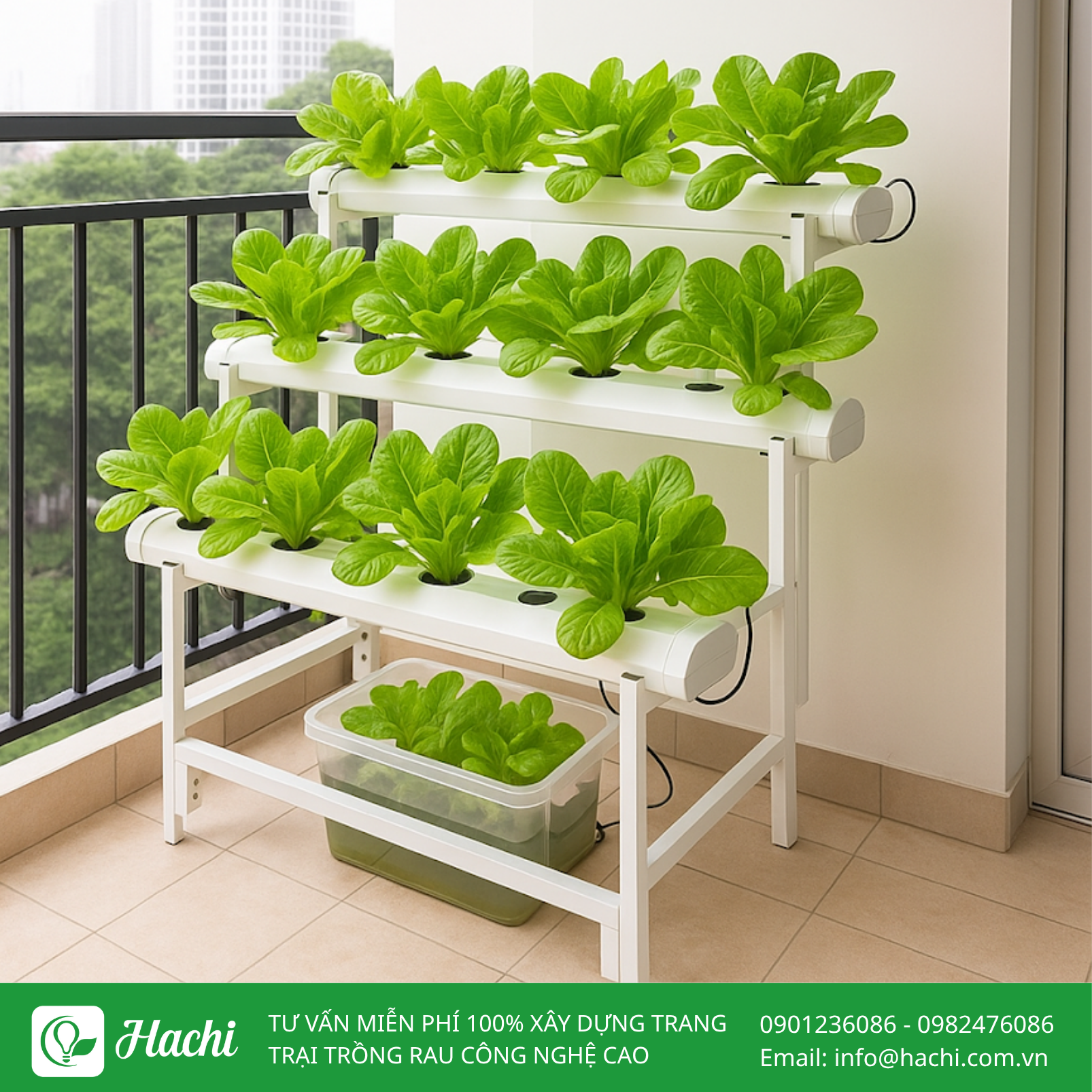 Giàn thủy canh mini 3 Gian TC mini 1