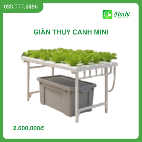 Giàn thủy canh mini