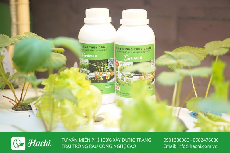 Bảng nồng độ dung dịch thủy canh cho rau, củ cập nhật mới nhất hiện tại 8 Bạn cần điều chỉnh nồng độ dinh dưỡng thủy canh phù hợp theo khuyến nghị để đảm bảo cây phát triển tốt