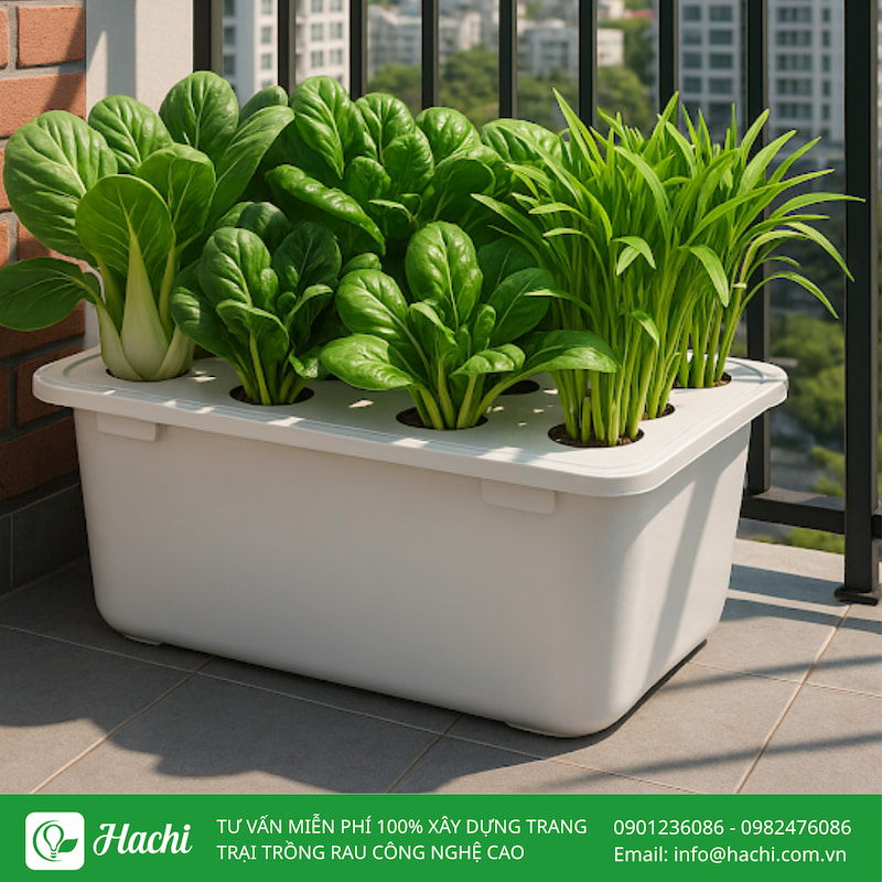 Thùng thủy canh tĩnh 7 Thùng thủy canh tĩnh hiện có mức giá dao động khoảng 690.000 – 850.000 đồng