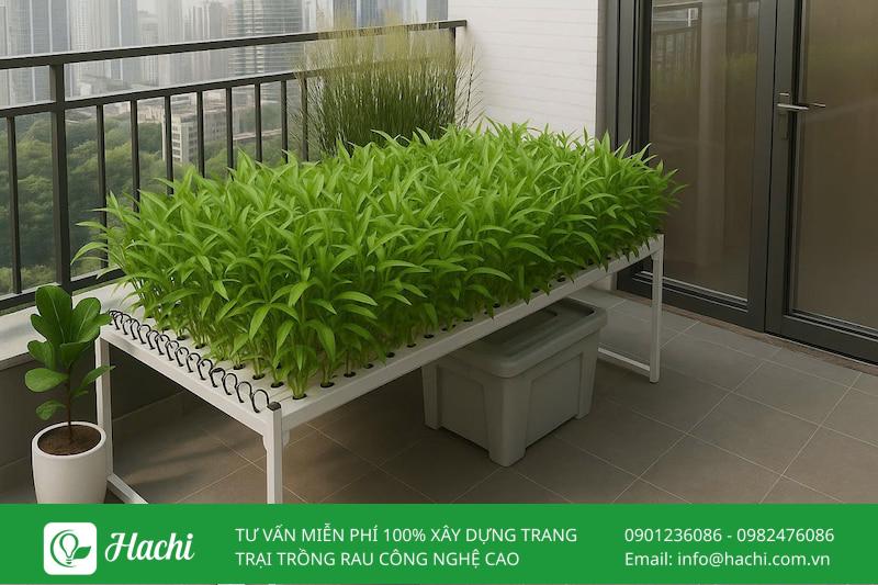 Dịch vụ thiết kế - thi công vườn rau sân thượng, ban công chung cư tại Hà Nội 11 Mô hình trồng rau trên sân thượng tại Hachi được thiết kế theo quy trình rõ ràng