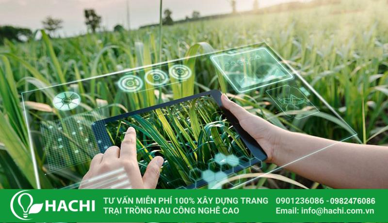 Hệ thống giám sát trong nhà màng: Tất tần tật thông tin bạn cần biết 12 Việc ứng dụng IoT giúp giảm đáng kể công lao động so với việc theo dõi thủ công