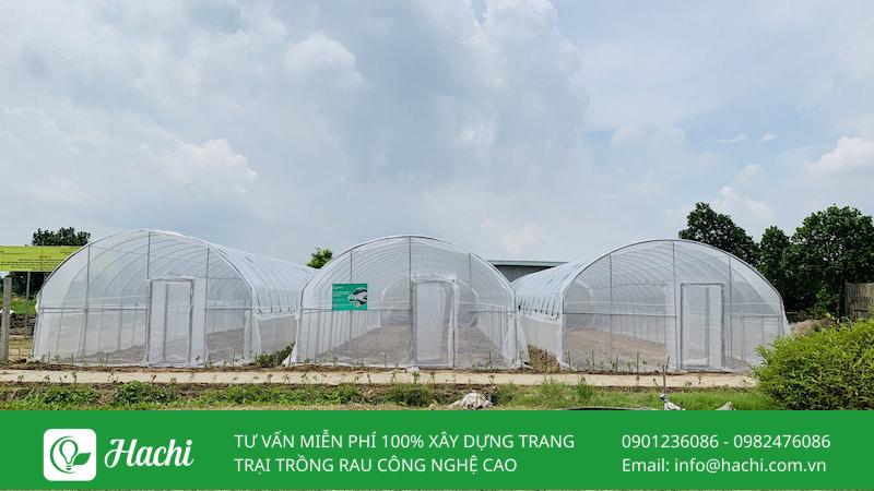cau tao nha luoi 100m2
