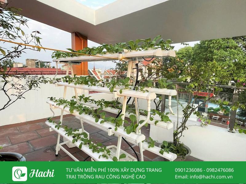 chi phi lap dat gian rau thuy canh tai nha