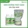 Dung dịch thủy canh cho cây cảnh Hachi