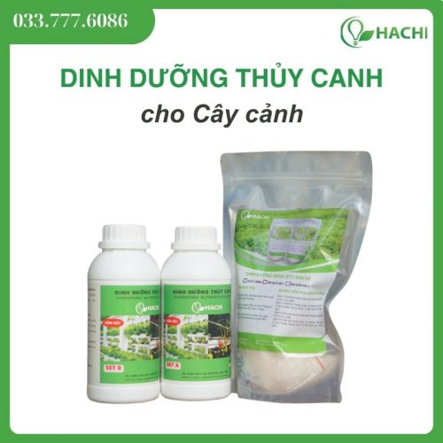 Dung dịch thủy canh cho cây cảnh Hachi