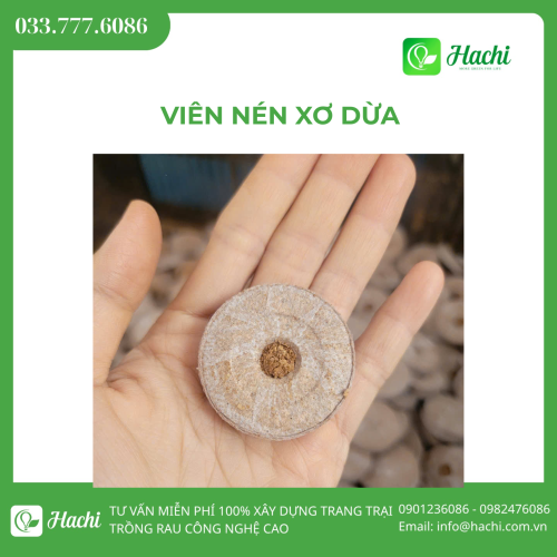 Viên nén xơ dừa