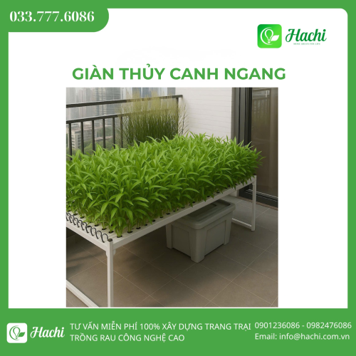Giàn thủy canh ngang