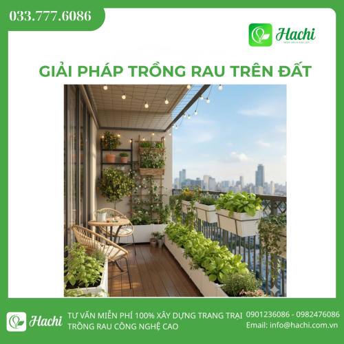 Giải pháp trồng rau trên đất