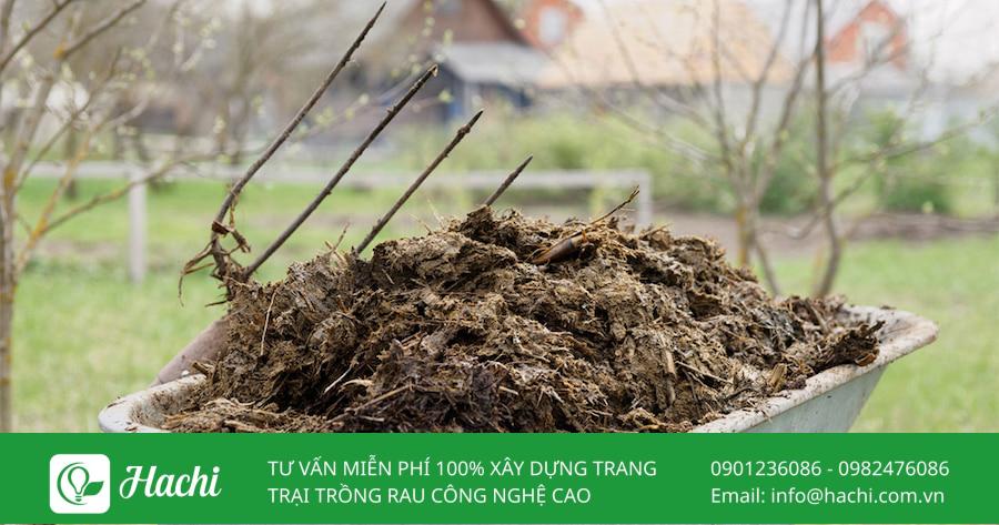 Phân bón Organic là gì? Công dụng như thế nào? Ưu nhược điểm ra sao? 11 Phân bón Organic truyền thống