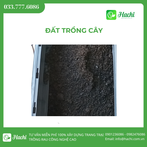 Đất trồng cây cảnh, rau, hoa, củ, quả