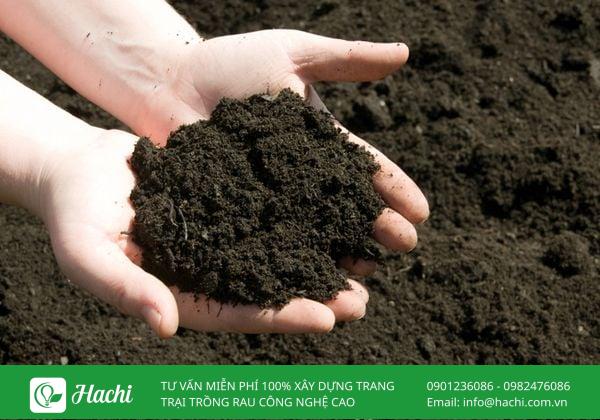 Bạn nên chọn đất trồng cây vỡ bầu có độ tơi xốp, giàu dinh dưỡng