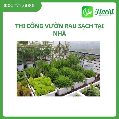 Dịch vụ thiết kế - thi công vườn rau sạch tại nhà uy tín chất lượng tại Hà Nội