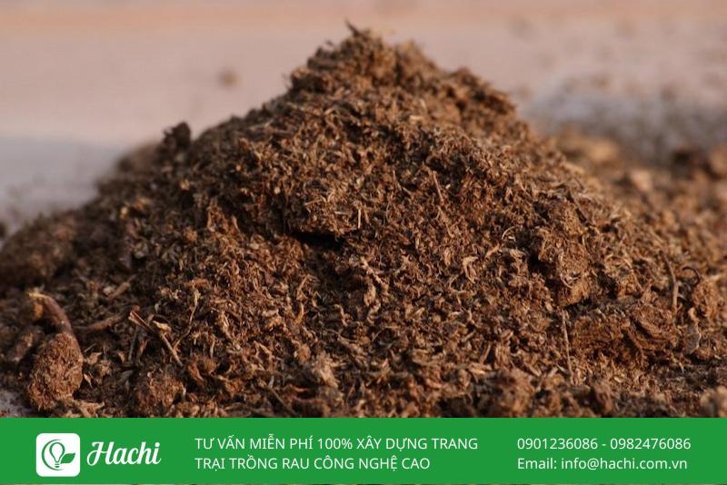 Đất hữu cơ phù hợp với nhiều loại cây trồng như rau, cây cảnh,...