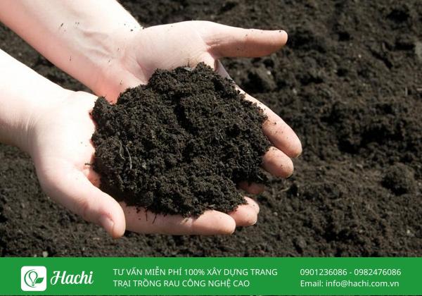 Mua đất trồng cây loại nào tốt nhất? Gợi ý cụ thể cho từng loại cây trồng 6 Đất thịt pha cát có đặc tính tơi xốp, thoát nước nhanh