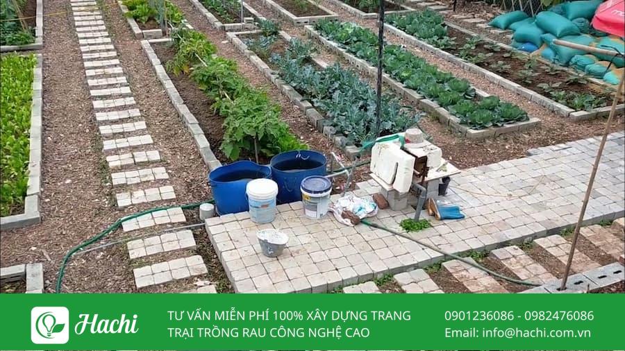 Tham khảo 10 mẫu xếp gạch trồng rau tại nhà đơn giản hiệu quả nhất 16 Sử dụng gạch làm lối đi trong vườn rau