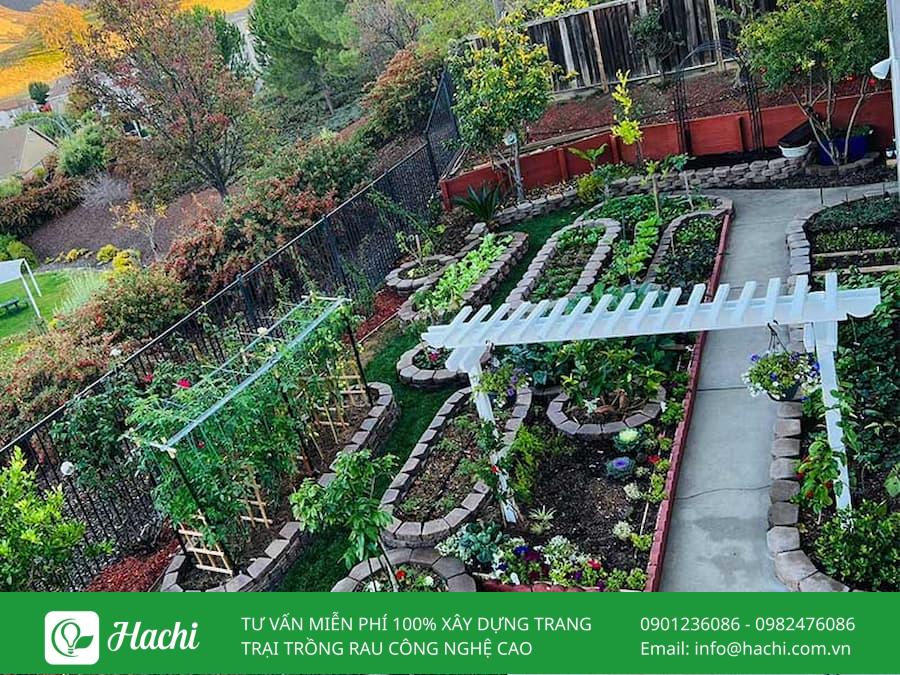 Tham khảo 10 mẫu xếp gạch trồng rau tại nhà đơn giản hiệu quả nhất 21 Xếp gạch trồng rau