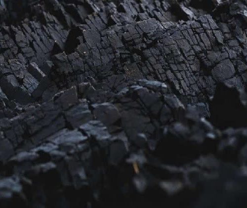 Biochar Đệm Lót Sinh Học Chuồng Trại