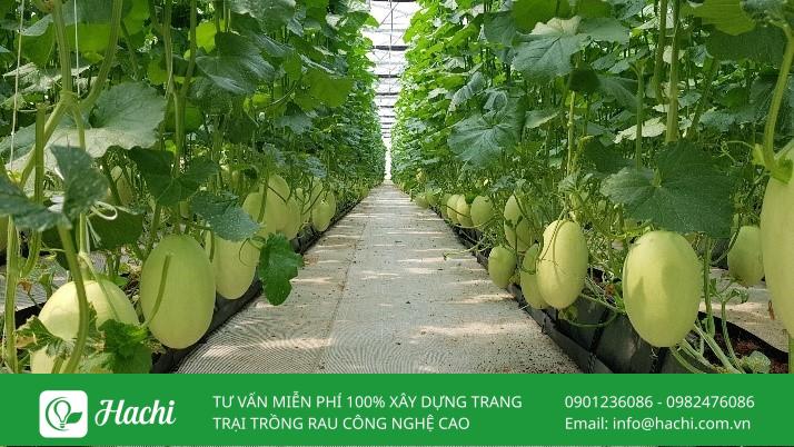 Tổng hợp các loại cảm biến trong nông nghiệp phổ biến nhất hiện nay 10 Cảm biến trong nông nghiệp giúp tăng năng suất, chất lượng nông sản