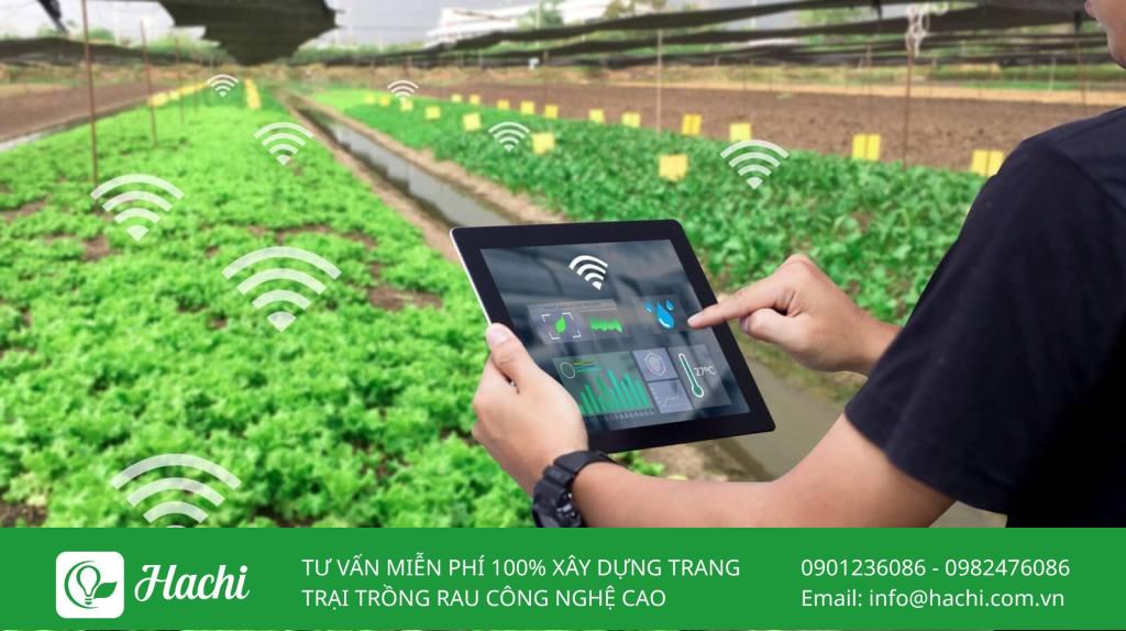 IoT giúp người dân theo dõi nhiều yếu tố như độ ẩm, nhiệt độ, dinh dưỡng