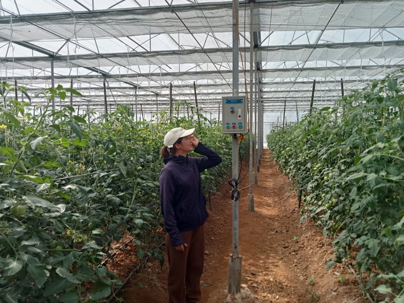 Cảm biến EC nông nghiệp 3 Cảm biến EC trong nông nghiệp giúp nông dân theo dõi chính xác tình trạng dinh dưỡng và độ mặn