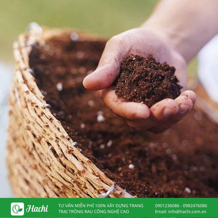 Cách trộn đất trồng rau đúng kỹ thuật cho rau phát triển khỏe mạnh 10 Làm sạch toàn bộ nguyên liệu trước khi tiến hành trộn đất
