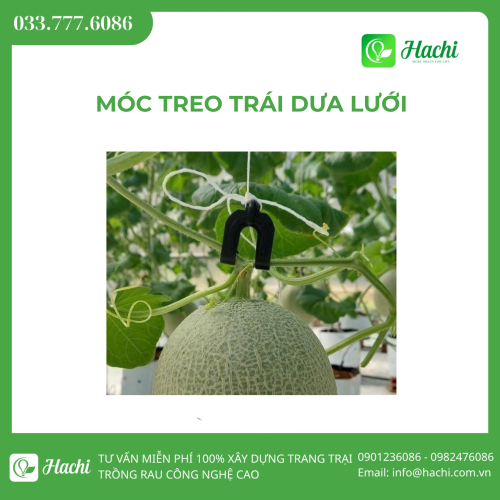 Móc treo trái dưa lưới 6 DKB 1