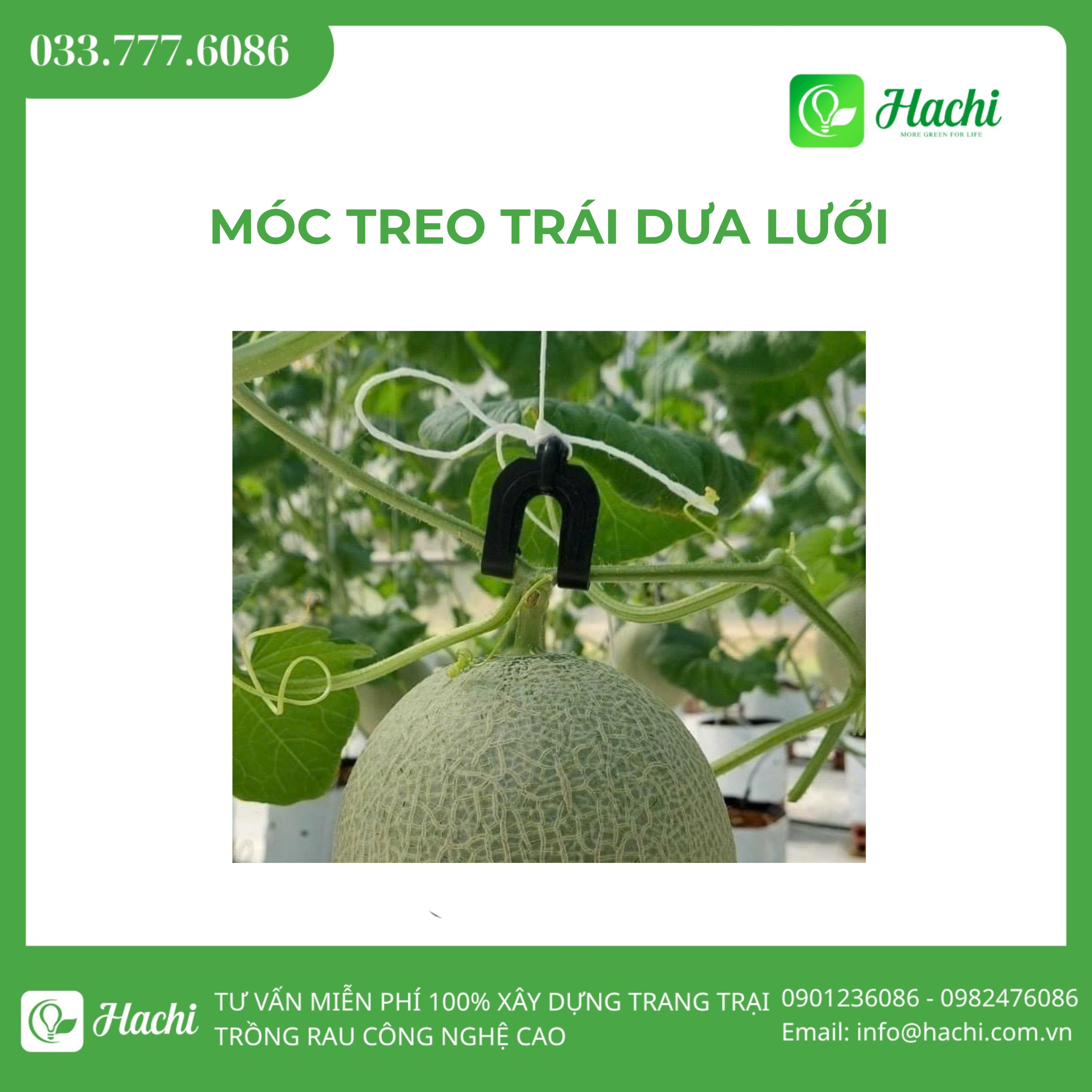 Móc treo trái dưa lưới 3 DKB 1 scaled