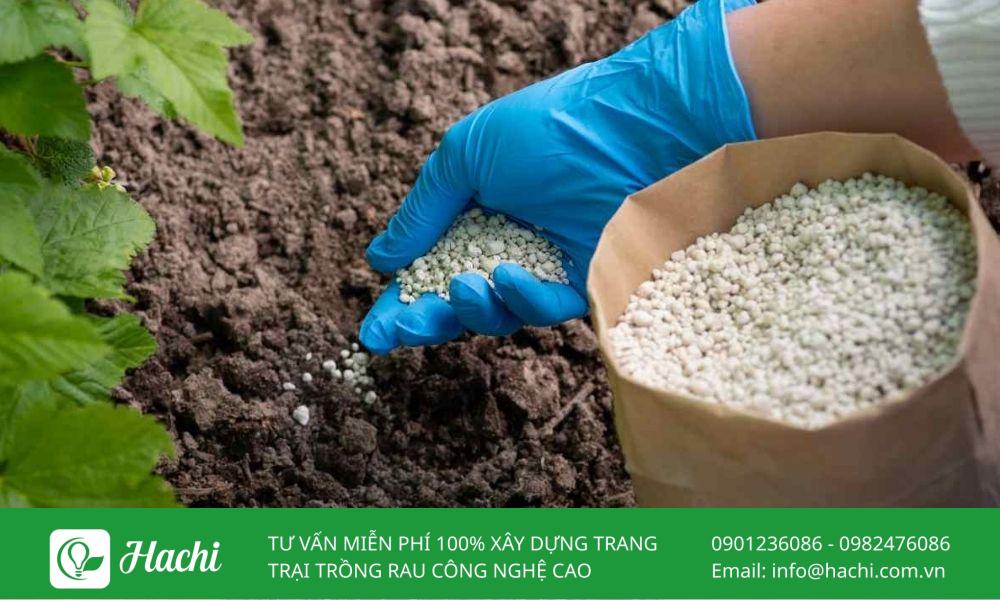 Bạn nên bón phân vi lượng đúng thời điểm để hỗ trợ tốt nhất cho quá trình sinh trưởng của cây