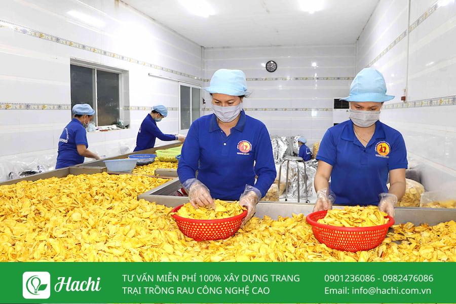 TOP 15 mô hình khởi nghiệp nông nghiệp tiềm năng nhất tại Việt Nam 11 Mô hình chế biến nông sản