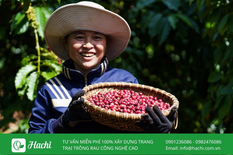 Nông nghiệp tái sinh là gì? Giải pháp "vàng" giúp bảo vệ môi trường và phát triển kinh tế bền vững 13 Chi phí đầu tư ban đầu có thể tăng nếu người nông dân cần bổ sung cây che phủ, hệ thống tưới tiết kiệm