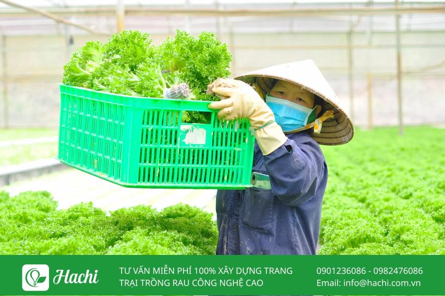 TOP 15 mô hình khởi nghiệp nông nghiệp tiềm năng nhất tại Việt Nam 10 Khởi nghiệp nông nghiệp với mô hình nông nghiệp hữu cơ sạch tuần hoàn