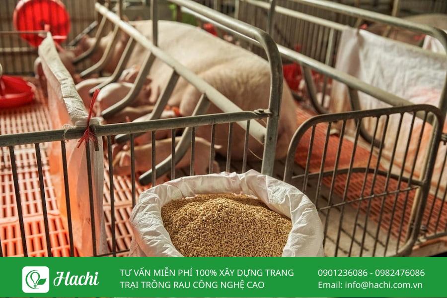 TOP 15 mô hình khởi nghiệp nông nghiệp tiềm năng nhất tại Việt Nam 17 Kinh doanh thức ăn cho vật nuôi