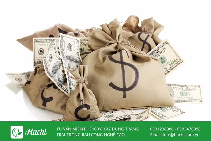 TOP 15 mô hình khởi nghiệp nông nghiệp tiềm năng nhất tại Việt Nam 18 Bạn cần chuẩn bị nguồn vốn linh hoạt để khởi nghiệp nông nghiệp