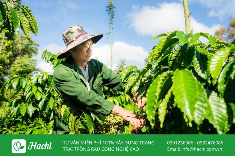 Nông nghiệp tái sinh là gì? Giải pháp "vàng" giúp bảo vệ môi trường và phát triển kinh tế bền vững 12 Nông nghiệp tái sinh đòi hỏi người nông dân cần có sự kiên nhẫn và kiến thức chuyên môn