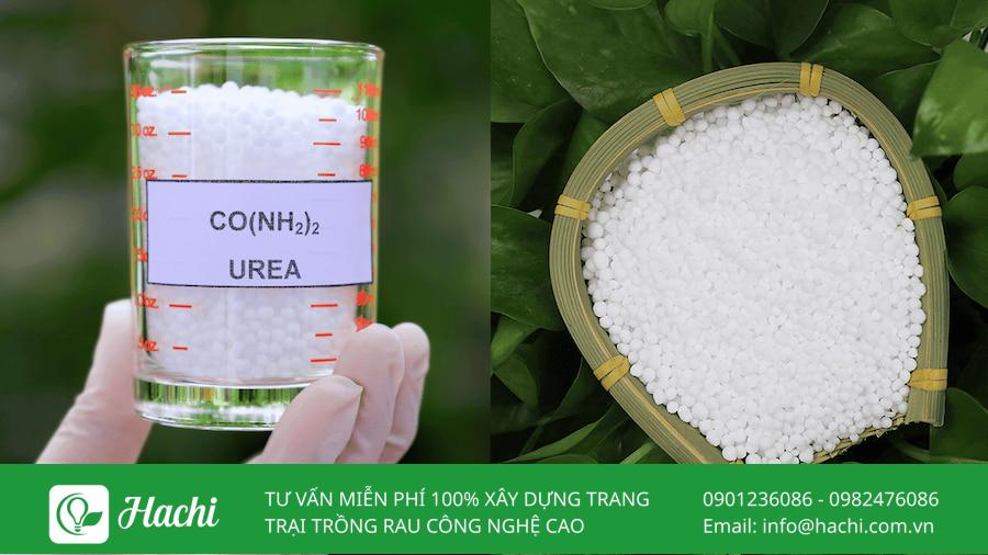 thanh phan hoa hoc cua phan ure