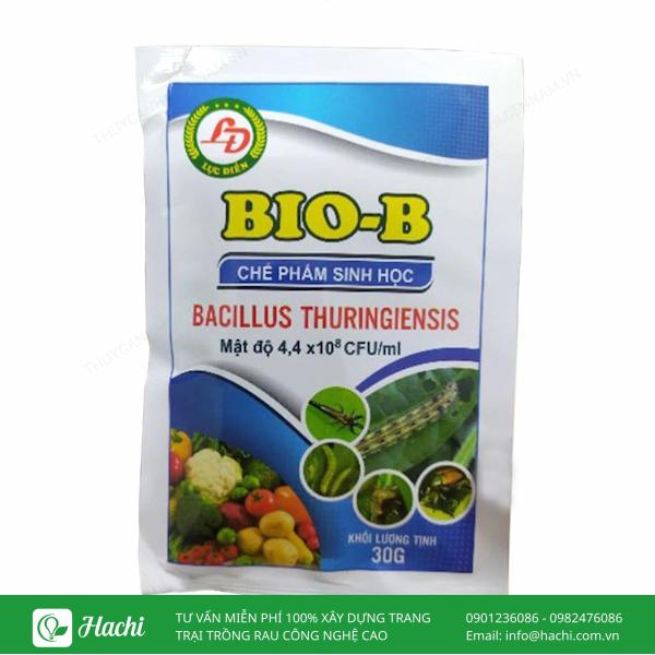 Bio B tác động lên hệ tiêu hóa của bọ trĩ, giúp chúng bị tiêu diệt nhanh chóng