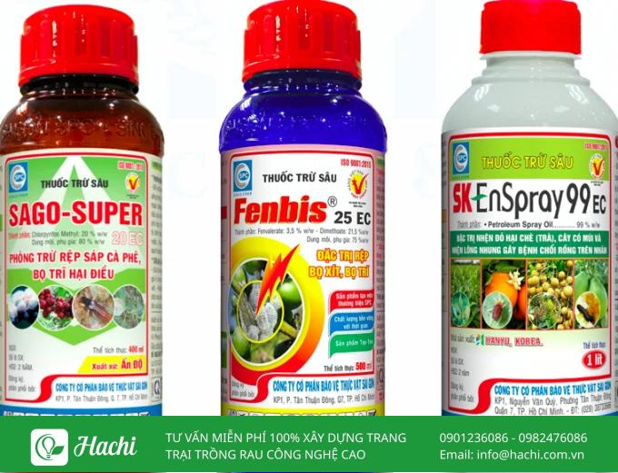 Bạn nên sử dụng thuốc trị bọ trĩ ngay khi thấy các dấu hiệu cây bị tấn công