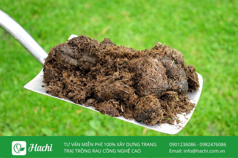 Cách ủ phân chuồng với trichoderma đúng kỹ thuật tại nhà 8 Bạn chuẩn bị phân chuồng đã loại bỏ rác, nilon và tạp chất