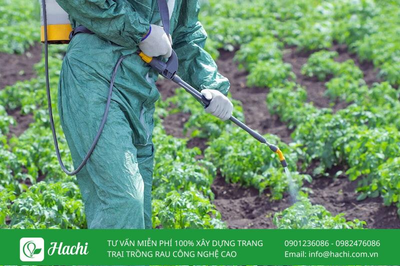 Phân bón lá 30-10-10 là gì? Công dụng và cách dùng đúng kỹ thuật 7 Phân bón lá NPK giúp phục hồi cây sau cắt tỉa