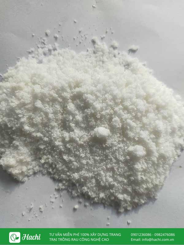 Phân bón lá 30-10-10 là gì? Công dụng và cách dùng đúng kỹ thuật 8 Phân bón lá 30-10-10 dạng bột
