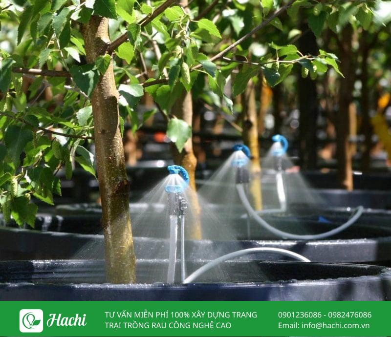 Vườn rau thông minh tại nhà: Mô hình và cách thiết kế thi công 7 Hệ thống tưới tự động