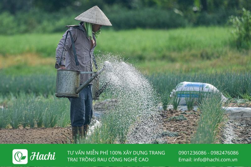 nuoc tuoi rau