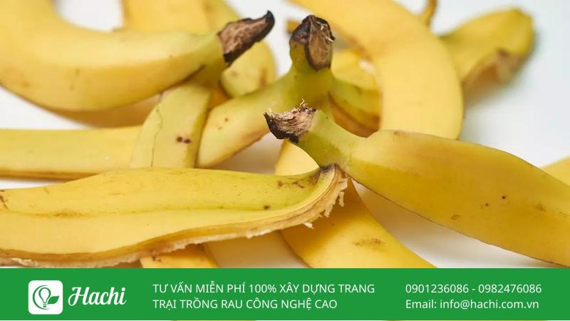 phan bon tu vo chuoi
